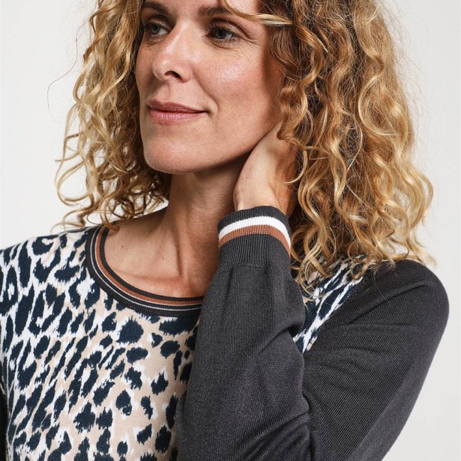 Diane Laury - Pull fantaisie