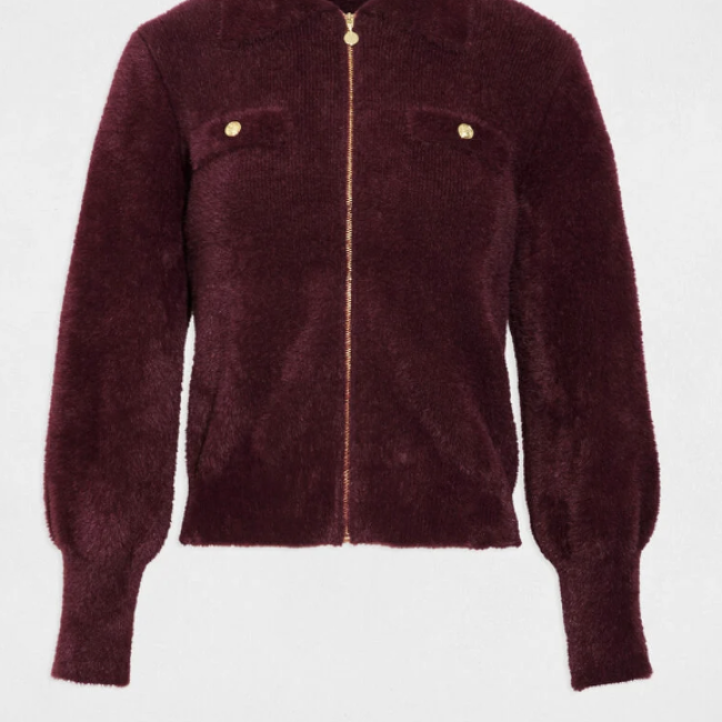 MORGAN - Veste manches longues prune